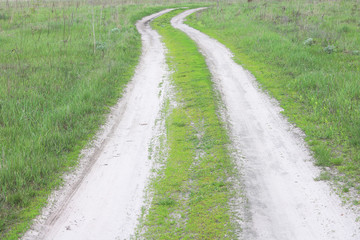 Rural dirt road on background of green grass in early summer