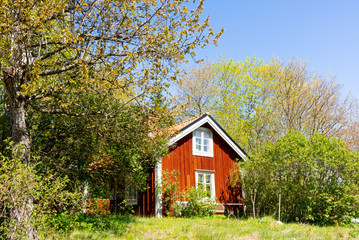 Obraz premium Typical red wooden house in the swedish province Småland on a sunny spring day.