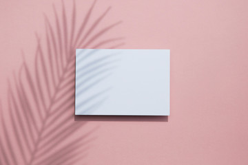 Tropical palm leaf shadow on a white card frame. Exotic summer background.