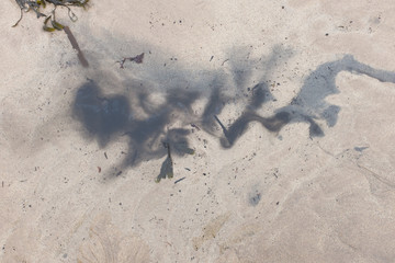 Sea sand and blue ink color patterns