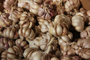 Food Market in Madeira, Portugal