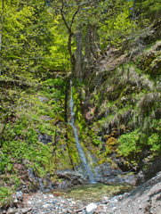 Fototapeta premium Small mountain waterfall, Calabria, Italy.