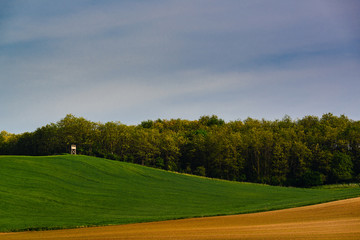 Hunter's ambush on the field