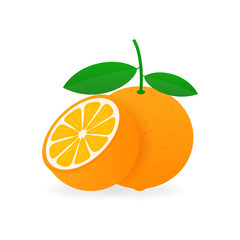 Orange with leaves whole and slices of oranges. Vector stock illustration.