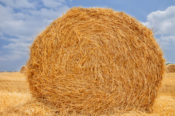 Hay in the bales field on a hot summer day against the blue sky