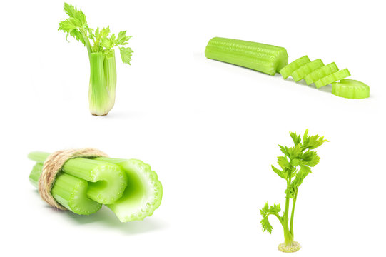 Set of celeriac isolated over a white background