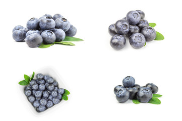 Collection of fresh blueberry
