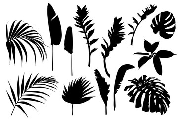 Fototapeta na wymiar Set black white tropical leaves silhouette. Monochrome jungle exotic leaf palm, royal fern, banana leaf. Illustration for summer tropical paradise advertising design vacation. 