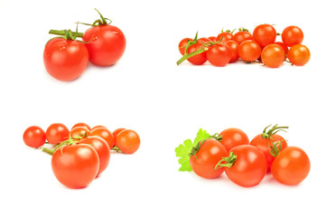 Collage of tomatoes isolated on white