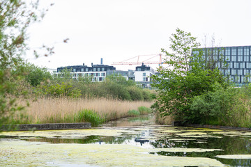 landscape with river and bridge