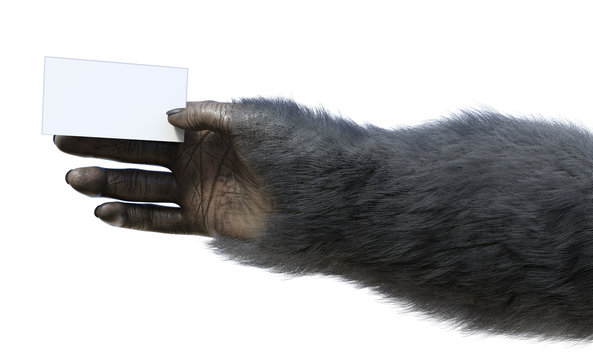 Chimp Hand Holding Business Card