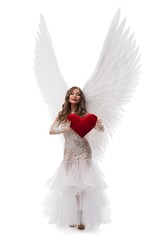 Brunette in gorgeous dress and wings shot