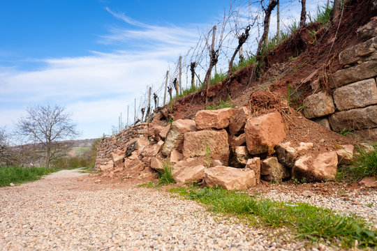 Weinberg Weg Reben Steine besch&auml;digte Mauer