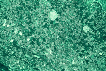 Vintage green background. Rough painted wall of emerald color. Imperfect plane of virid colored. Uneven old decorative toned backdrop of green tint. Texture of emerald hue. Ornamental stony surface.