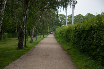 Pathway in the park