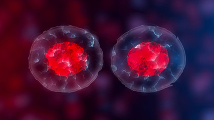 Embryonic stem cells or growth, rehabilitation and treatment of diseases, 3D illustrations