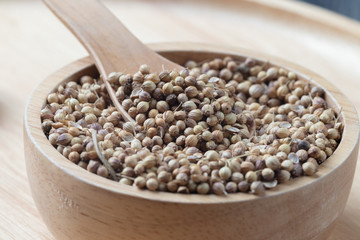 close up of pile Coriander seeds and wooden spoon