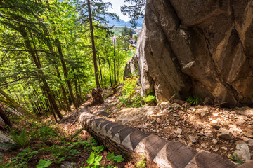 View at Stairs Trail in Park and Rocks. Vancouver, Canada.