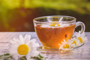 A cup of fragrant, fragrant chamomile tea, in the rays of the evening beautiful sunset.