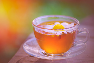 A cup of fragrant chamomile tea, in the rays of the evening beautiful sunset.