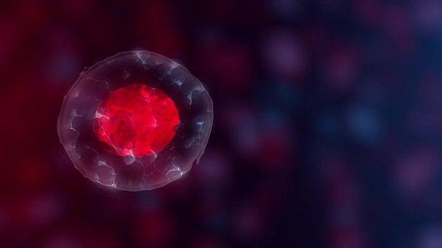 Embryonic stem cells or growth, rehabilitation and treatment of diseases, 3D illustrations
