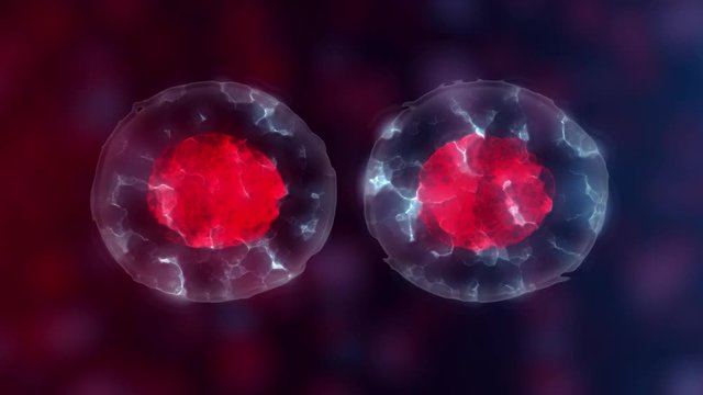 Embryonic stem cells or growth, rehabilitation and treatment of diseases, 3D illustrations