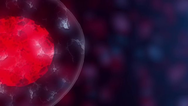 Embryonic stem cells or growth, rehabilitation and treatment of diseases, 3D illustrations