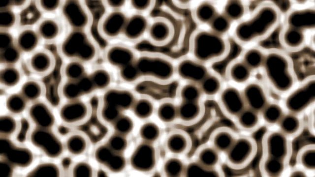 Embryonic stem cells or growth, rehabilitation and treatment of diseases, 3D illustrations