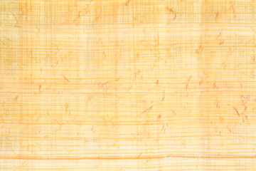 Real Egypt papyrus paper background and texture number 23. Close up macro.