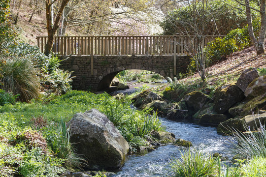 River with a bridge in a public park