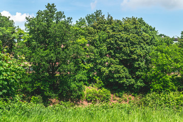 Park in Gelderland, the Netherland