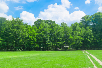 Obraz premium Park in Gelderland, the Netherland