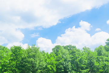 Park in Gelderland, the Netherland