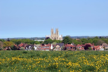 Beverley Minster from the Westwood.