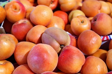 Fototapeta na wymiar Rich and juicy apricot fruits