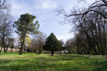 Some people are relaxing on a lawn with park trees