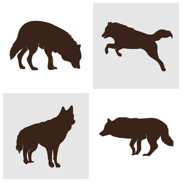 Set of Wolf Abstract Logo Design Vector Illustration. Wolf Logo Template. Simple flat style. Icon Symbol.