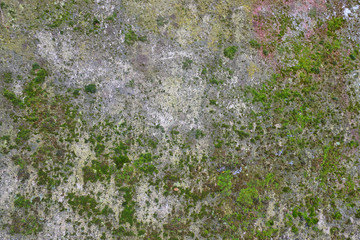 Alte mit grünem Moos bewachsene Steinmauer. Graue und grüne Strukturen aus Stein und Moos texturierte Wand. Verwitterte Wand mit Moos in Verschiedenen grüntönen.