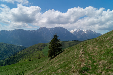 Fototapeta na wymiar View from the Baiului Mountains or Gârbova Mountains - Bucegi Mountains, Carpathian Mountains, Prahova, Romania