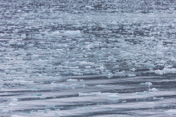 Pieces of glacier ice Nordenskiöldbreen near Pyramiden, on the