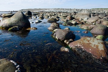 beautiful mountain landscape, stones, green grass, blue sea,