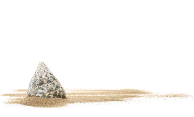 Obraz premium Seashells in sand pile isolated on white background