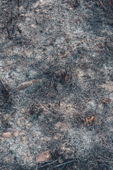 Consequences that leave fire after burning grass