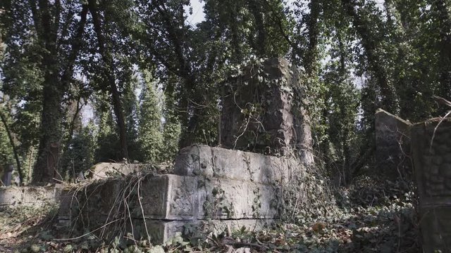 Horizontal camera slide on old jewish cemetery located in the city of Czestochowa in Poland with destroyed matzevah