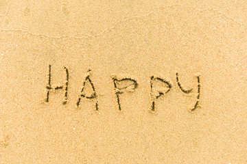 Signs on sand beach written by hand, inspire to travel to exotic islands and relax. Words Ocean, fun, happy and smile on yellow beach. Family tour travel time in summer resort. Enjoy your holidays