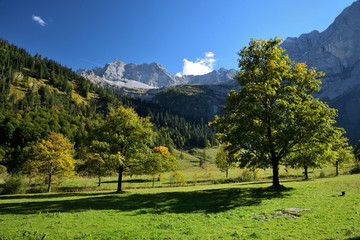 Fototapeta na wymiar Die Lamsenspitze vom Engtal gesehen im Herbst