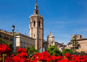 The Valencia Cathedral church building and Placa Reina with flowers