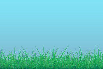 Fototapeta premium Landscape green grass and blue sky stock illustration.