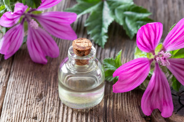 Obraz na płótnie Canvas A bottle of mallow essential oil with fresh malva sylvestris flowers