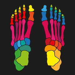 Kolorowe kości © ZYTA.eM